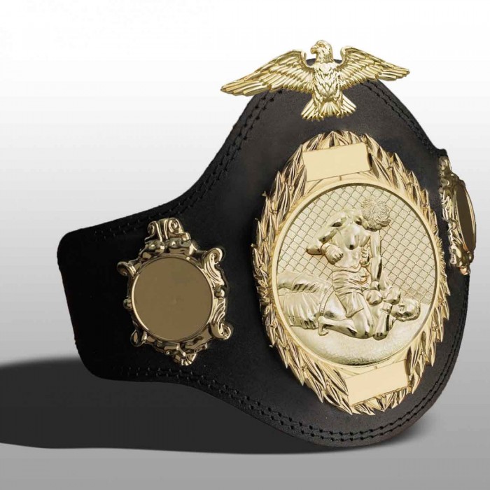 MMA CHAMPIONSHIP TITLE BELT-PLT288/G/MMAG-4 COLOURS